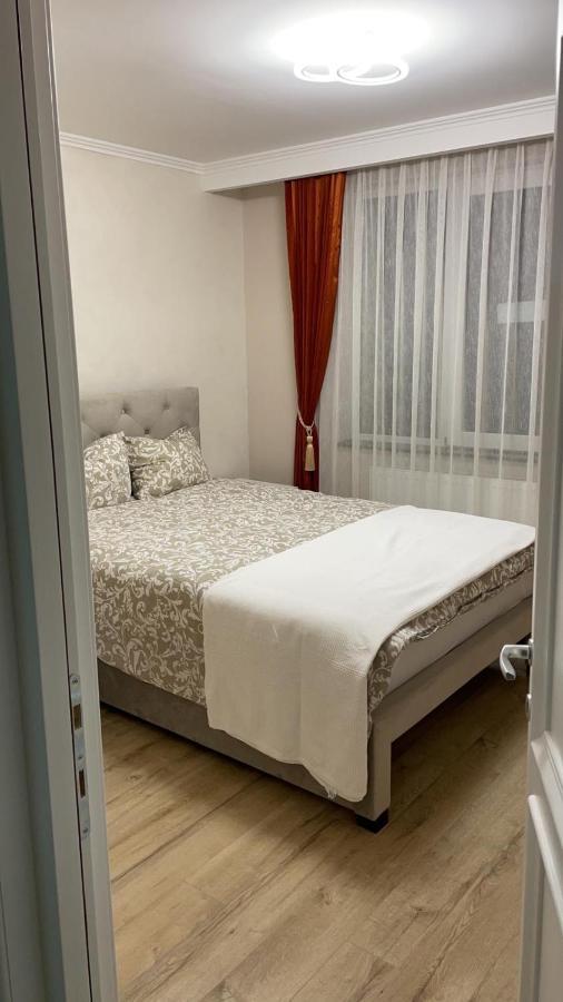 Apartament 1 Lalelelor Nasaud المظهر الخارجي الصورة