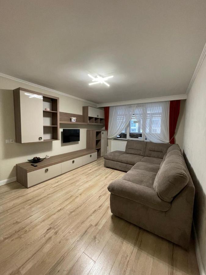 Apartament 1 Lalelelor Nasaud المظهر الخارجي الصورة