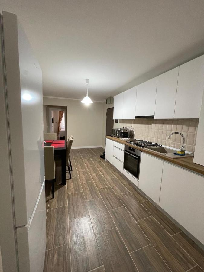 Apartament 1 Lalelelor Nasaud المظهر الخارجي الصورة